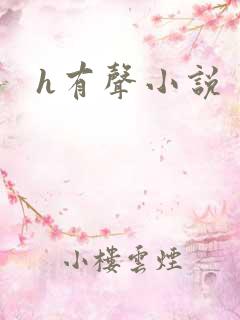 h有声小说