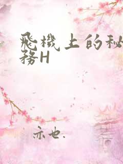 飞机上的秘密服务H