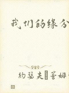 我们的缘分小说