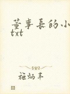 董事长的小王爷txt