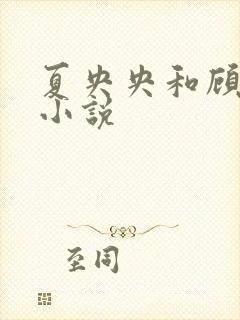 夏央央和顾祁琛小说