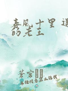 春风十里 退休的老王