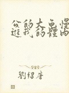 公的大龟慢慢挺进我的体内