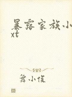 暴露家族小说txt