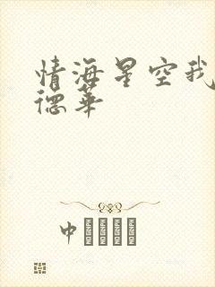 情海星空我与刘德华