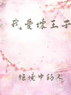 我爱坏王子