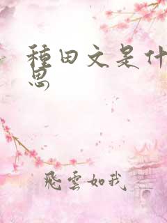 种田文是什么意思