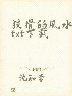 狡猾的风水相师txt下载