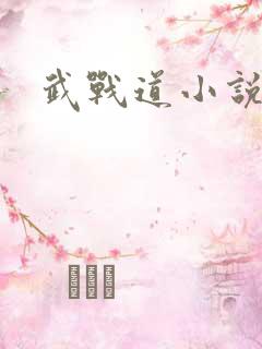 武战道小说