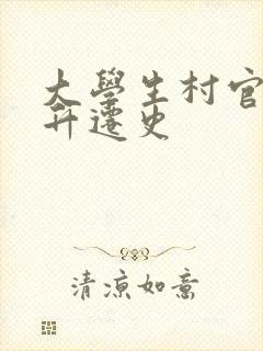 大学生村官艳遇升迁史