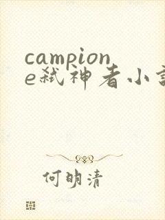 campione弑神者小说