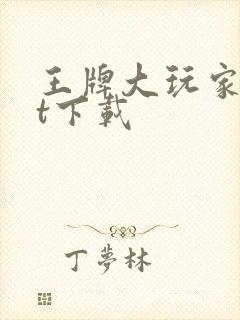 王牌大玩家txt下载