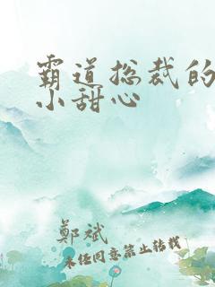 霸道总裁的宠爱小甜心