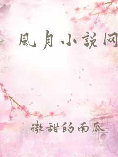 风月小说网