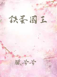 铁蛋国王