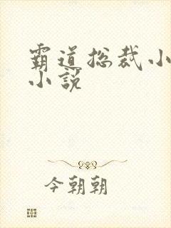 霸道总裁小娇妻小说