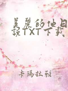 美丽的他日剧小说TXT下载