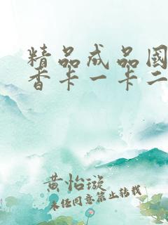 精品成品国色天香卡一卡二摄像头