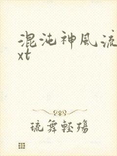 混沌神风流史txt