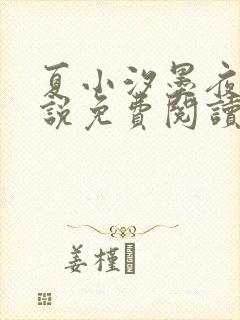 夏小汐墨夜霆小说免费阅读