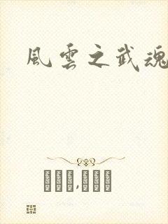 风云之武魂