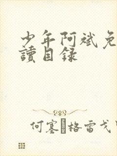 少年阿斌免费阅读目录