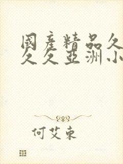 国产精品久久久久久亚洲小说