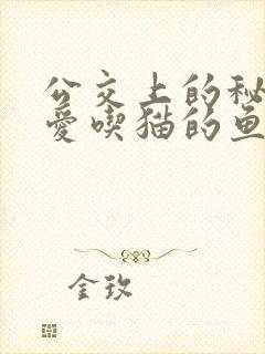 公交上的秘密 爱吃猫的鱼