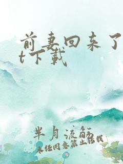 前妻回来了txt下载