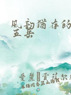 风韵犹存的四十五岳