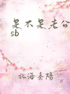 是不是老公的小sb