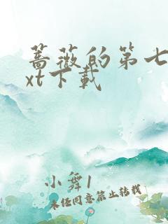 蔷薇的第七夜txt下载