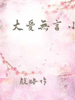 大爱无言 小说