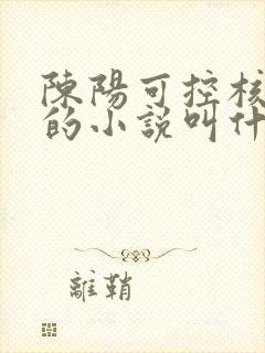 陈阳可控核聚变的小说叫什么名字