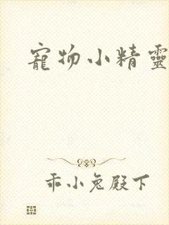 宠物小精灵之梦