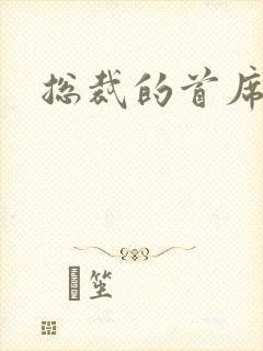 总裁的首席保姆