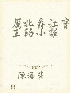 厉北爵江宝宝男主的小说