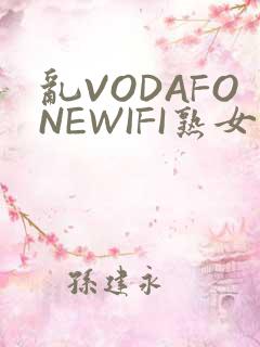 乱VODAFONEWIFI熟女