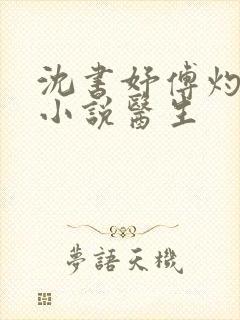 沈书妤傅灼抖音小说医生