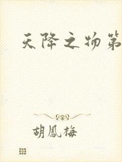 天降之物第一季