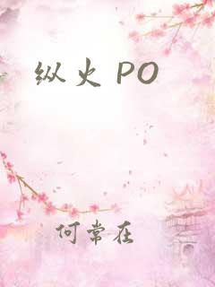 纵火 PO