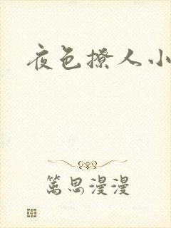 夜色撩人小说