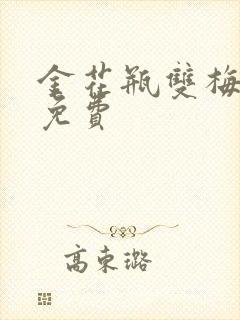 金花瓶双梅花5免费