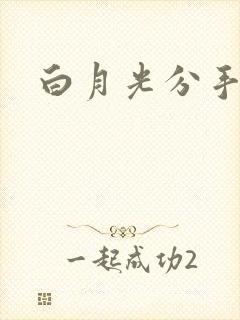 白月光分手日常