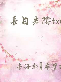 长日光阴txt