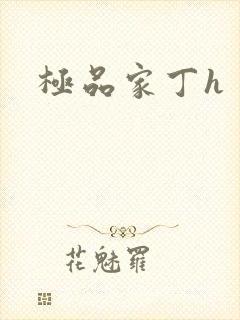 极品家丁h