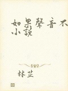 如果声音不记得小说