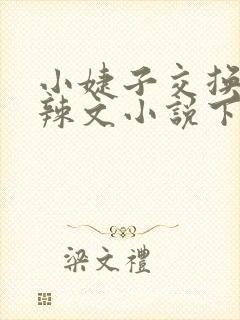 小婕子交换系列辣文小说下载