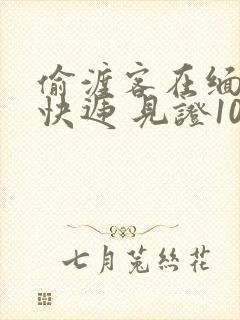 偷渡客在缅北送快递 见证100种逃亡