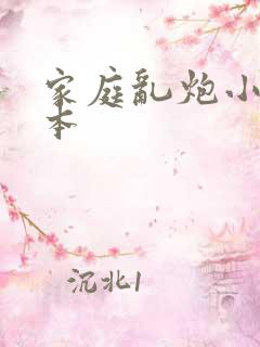 家庭乱炮小说全本